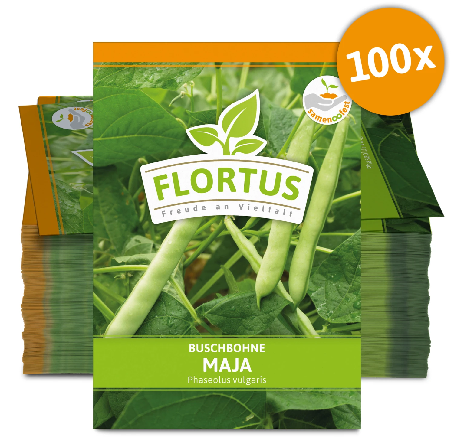 Buschbohne Maja (100 Stück) | Buschbohnensamen Von FLORTUS 5 Buschbohne Maja (100 Stück) | Buschbohnensamen Von FLORTUS – Bild 3