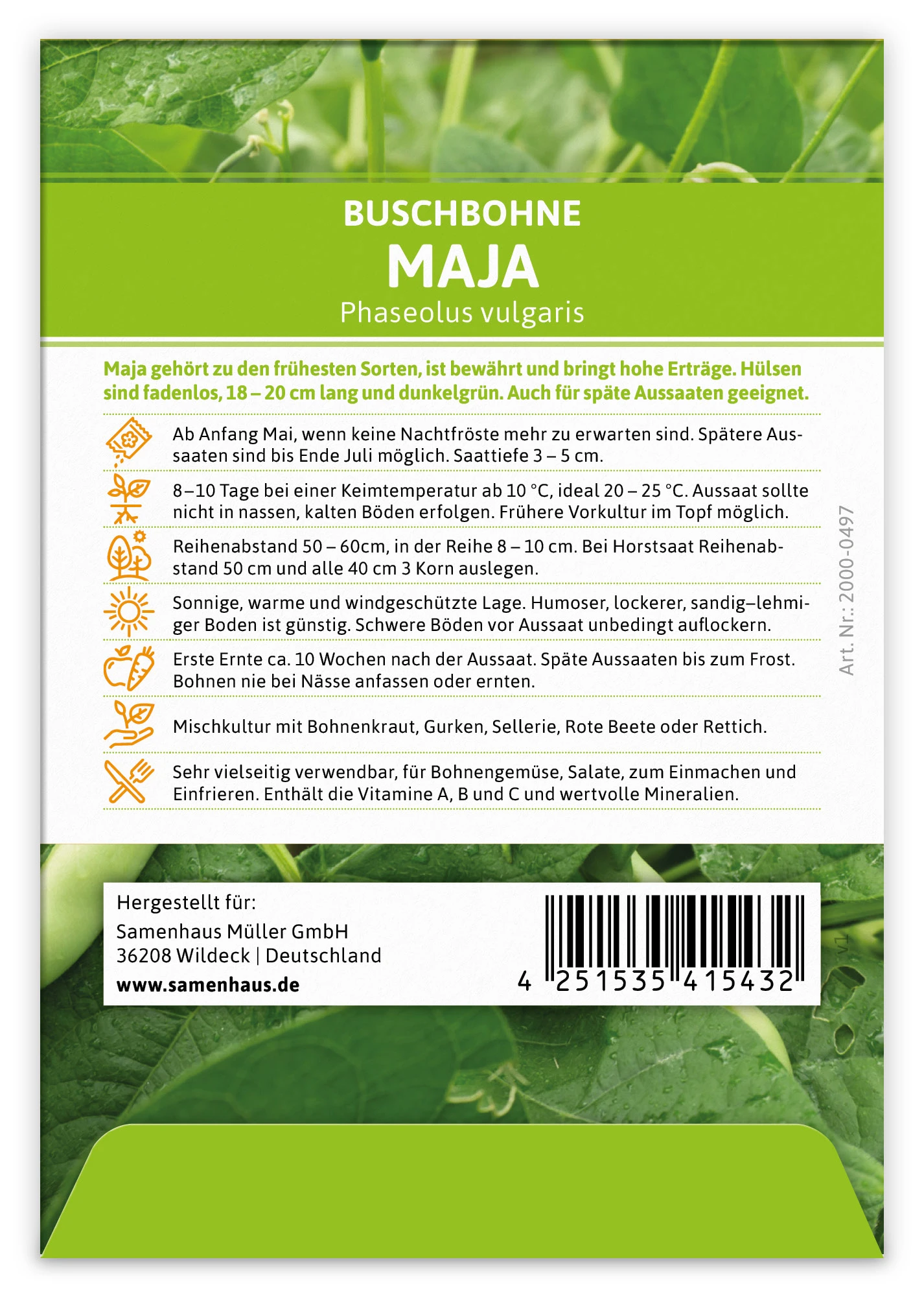 Buschbohne Maja (100 Stück) | Buschbohnensamen Von FLORTUS 3 Buschbohne Maja (100 Stück) | Buschbohnensamen Von FLORTUS