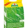 Langzeit Rasendünger (2,5 Kg) | Rasendünger Von ASB Greenworld 1 Langzeit Rasendünger (2,5 Kg) | Rasendünger Von ASB Greenworld -Compo Verkäufe 550435 Langzeit Rasenduenger 2 5 kg 313515 asb 0