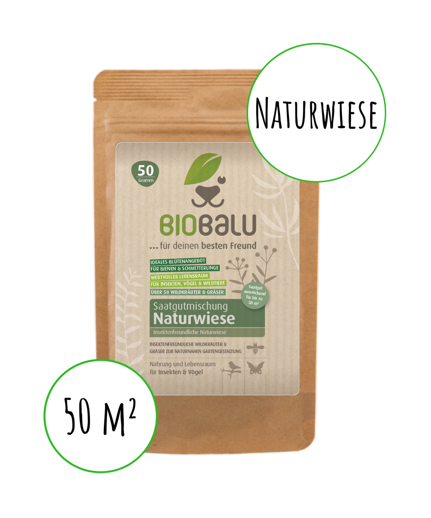 Bienenweide Mit Wildgräsern (Naturwiese) | Bienenwiese Von Biobalu 7 Bienenweide Mit Wildgräsern (Naturwiese) | Bienenwiese Von Biobalu – Bild 5