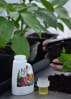 Chilidünger (250 Ml) | Dünger Von Nelson Garden -Compo Verkäufe 551479 Chiliduenger 250 ml 6727A ng 1