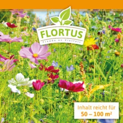 Blumenwiese (1/2 L Doypack) | Blumenwiese Von FLORTUS -Compo Verkäufe 551641 Blumenwiese 1 2 Liter Doypack 2000 0186 3