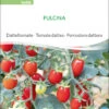 Datteltomate Pulcina | BIO Stabtomatensamen Von Sativa Rheinau -Compo Verkäufe 551672 BIO Datteltomate Pulcina to06 sr 0