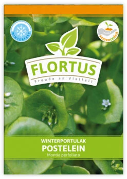 Winterportulak Postelein (100 Tütchen) | Portulaksamen Von FLORTUS -Compo Verkäufe 551880 Winterportulak Postelein 100 Tuetchen 2000 0562 0 1