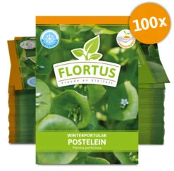 Winterportulak Postelein (100 Tütchen) | Portulaksamen Von FLORTUS -Compo Verkäufe 551880 Winterportulak Postelein 100 Tuetchen 2000 0562 100x 0