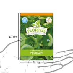 Winterportulak Postelein (100 Tütchen) | Portulaksamen Von FLORTUS -Compo Verkäufe 551880 Winterportulak Postelein 100 Tuetchen 2000 0562 3