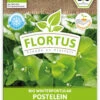 Winterportulak Postelein (100 Tütchen) | BIO Portulaksamen Von FLORTUS -Compo Verkäufe 551882 BIO Winterportulak Postelein 100 Tuetchen 2000 0563 0