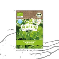 Winterportulak Postelein (100 Tütchen) | BIO Portulaksamen Von FLORTUS -Compo Verkäufe 551882 BIO Winterportulak Postelein 100 Tuetchen 2000 0563 3