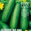 Salatgurke Beth Alpha | BIO Salatgurkensamen Von Reinsaat