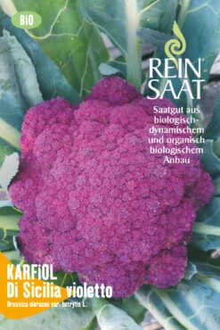 Blumenkohl Di Sicilia Violetto | BIO Blumenkohlsamen Von Reinsaat