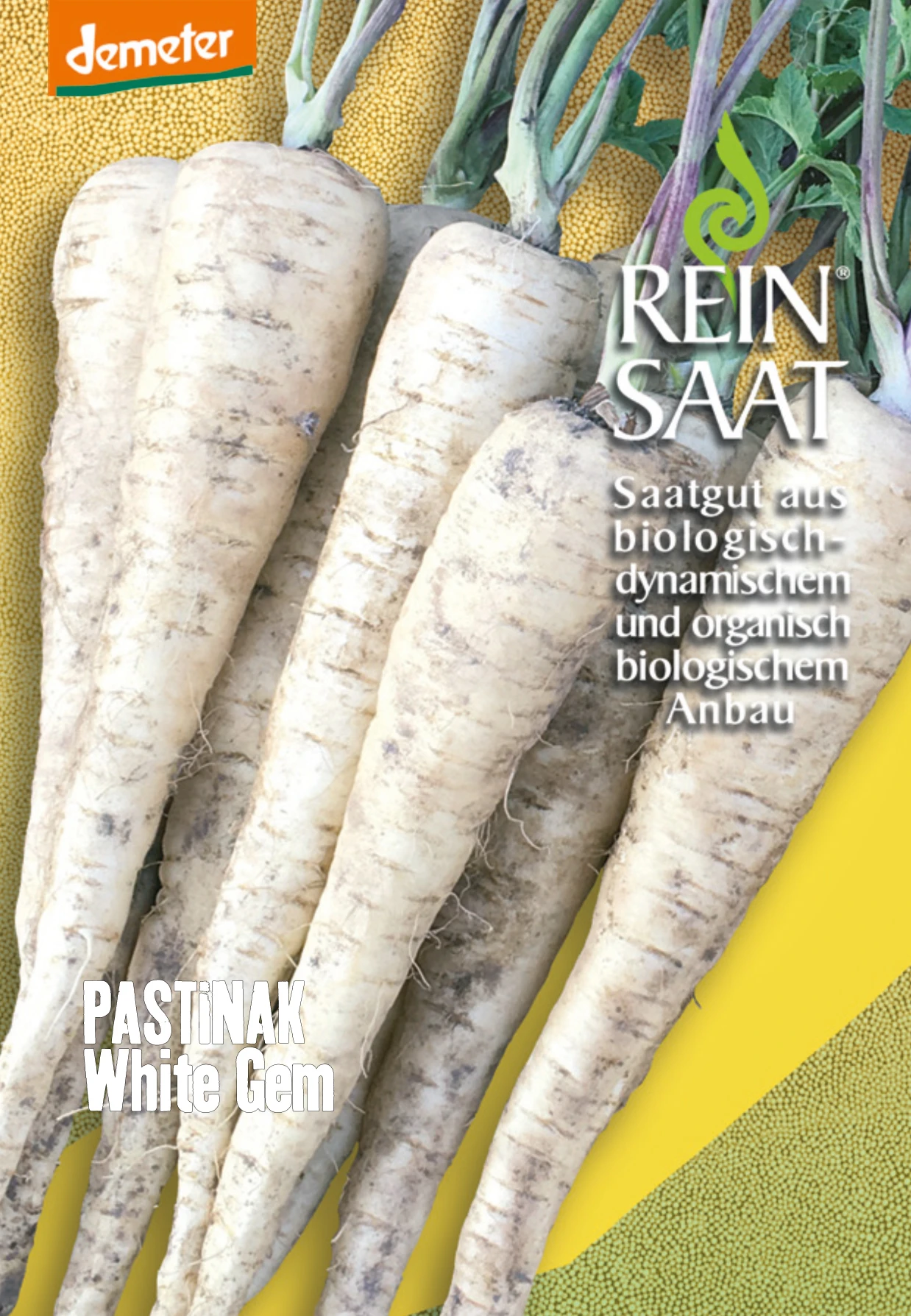 Pastinake White Gem | BIO Pastinakensamen Von Reinsaat 3 Pastinake White Gem | BIO Pastinakensamen Von Reinsaat