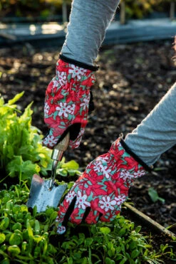 Handschuhe Anemone Red 8 | Gartenhandschuhe Von Nelson Garden