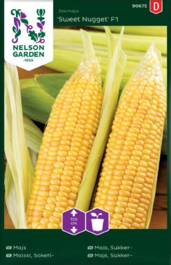 Mais Sweet Nugget F1 | Maissamen Von Nelson Garden -Compo Verkäufe 552197 Mais Sweet Nugget F1 90675 ng 0