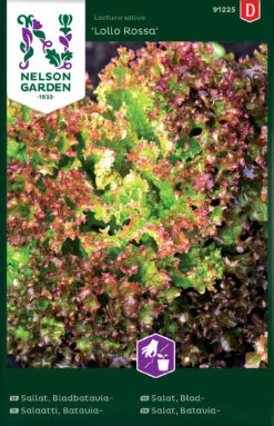 Bataviasalat Lollo Rossa | Salatsamen Von Nelson Garden
