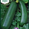 Zucchini Diamant F1 | Zucchinisamen Von Nelson Garden 1 Zucchini Diamant F1 | Zucchinisamen Von Nelson Garden -Compo Verkäufe 552217 Zucchini Diamant F1 91445 ng 0