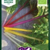 Mangold Fireworks | Mangoldsamen Von Nelson Garden -Compo Verkäufe 552234 Mangold Fireworks 90683 ng 0