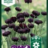 Kornblume Black Boy | Kornblumensamen Von Nelson Garden -Compo Verkäufe 552238 Kornblume Black Boy 93362A ng 0