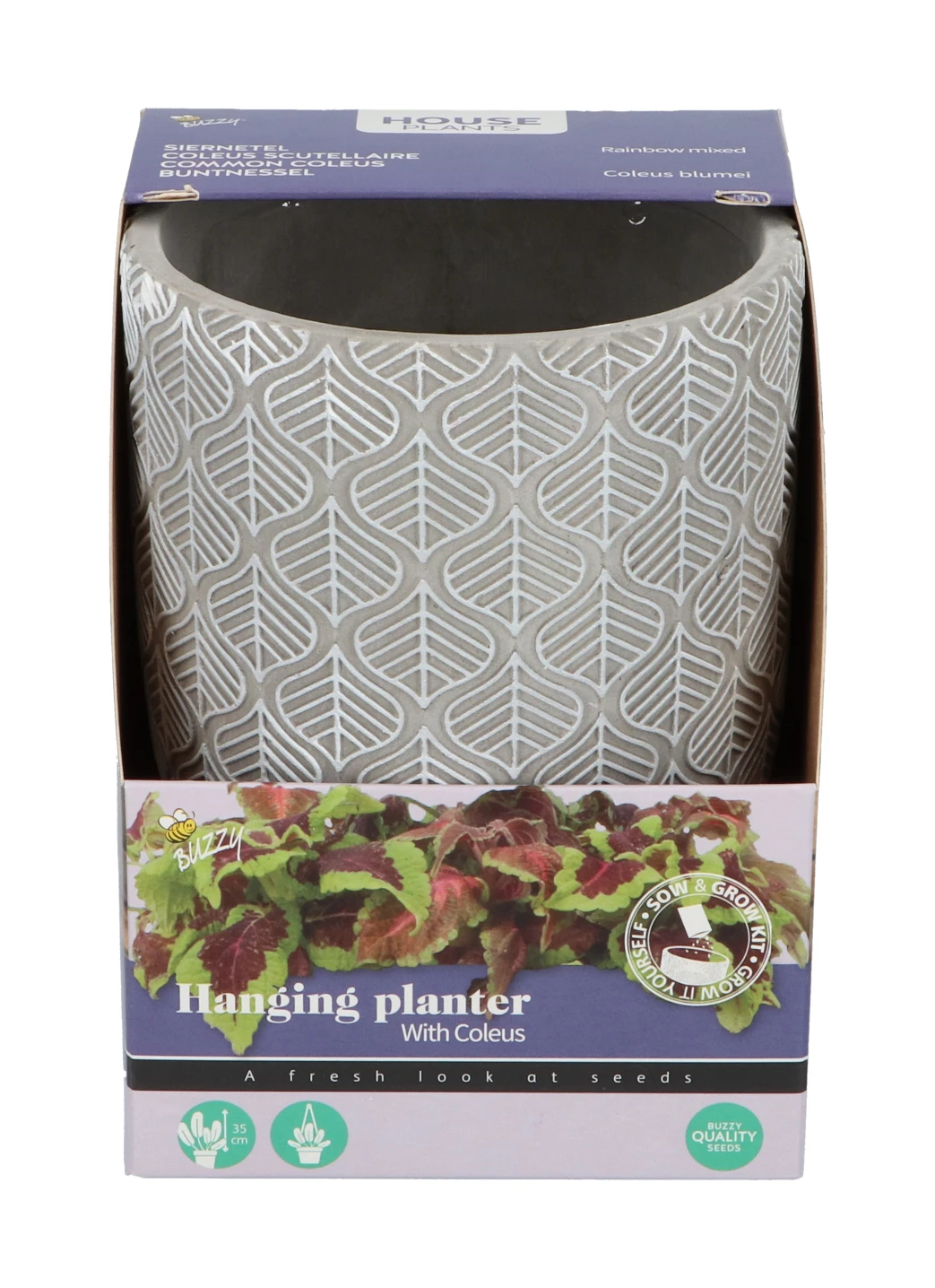 Buntnessel | Buntnesselsamen Von Buzzy Seeds 3 Buntnessel | Buntnesselsamen Von Buzzy Seeds