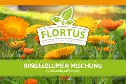 Ringelblumen Mischung | Blumenwiese Von FLORTUS -Compo Verkäufe 554533 Ringelblumen Mischung 1 kg 530747 Ringelblumen Mischung 1 kg 2000 0209 2