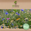 Wilde Apotheke (10 Stück) | Wildblumenwiese Von Biobalu -Compo Verkäufe 554551 Wilde Apotheke 10 Stueck BB1026 3