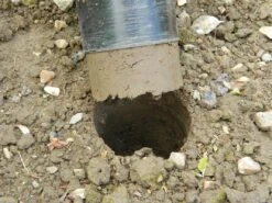 28 X 26 X 7,5 Cm Kurzstieliger Blumenzwiebel Pflanzer | Gartenzubehör Von Garland -Compo Verkäufe 558875 28 x 26 x 7 5 cm Kurzstieliger Blumenzwiebel Pflanzer W0474 gl 6