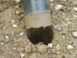 88 X 30,5 X 7,5 Cm Langstieliger Blumenzwiebel Pflanzer | Gartenzubehör Von Garland -Compo Verkäufe 558876 88 x 30 5 x 7 5 cm Langstieliger Blumenzwiebel Pflanzer W0475 gl 7