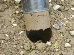 88 X 30,5 X 7,5 Cm Langstieliger Blumenzwiebel Pflanzer | Gartenzubehör Von Garland -Compo Verkäufe 558876 88 x 30 5 x 7 5 cm Langstieliger Blumenzwiebel Pflanzer W0475 gl 8