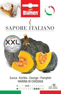 Kürbis Marina Di Chioggia | Kürbissamen Von BLUMEN Group