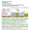 Kürbis Moschata De Provence | BIO Muskatkürbissamen Von Austrosaat -Compo Verkäufe 561592 BIO Kuerbis Moschata de Provence 5175 as 1