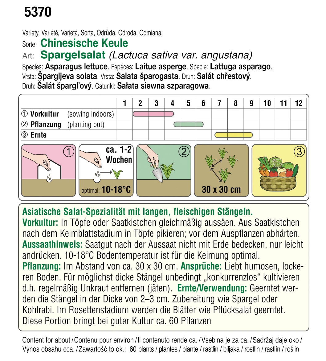 Spargelsalat Chinesische Keule | BIO Kopfsalatsamen Von Austrosaat 4 Spargelsalat Chinesische Keule | BIO Kopfsalatsamen Von Austrosaat – Bild 2