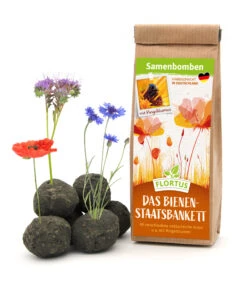 Samenbomben Das Bienenstaatsbankett (6 Stück) | Bienenwiese Von FLORTUS -Compo Verkäufe 562161 Samenbomben Das Bienenstaatsbankett 6 Stueck 2000 2356 1