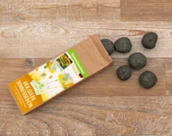 Samenbomben Der Gelbe Sonnenschein (6 Stück) | Blumensamenmischung Von FLORTUS -Compo Verkäufe 562164 Samenbomben Der Gelbe Sonnenschein 6 Stueck 2000 1055 3