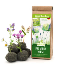 Samenbomben Die Wilde Wiese (6 Stück) | Wildblumenwiese Von FLORTUS -Compo Verkäufe 562168 Samenbomben Die wilde Wiese 6 Stueck 2000 1059 1