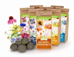 Samenbomben Set (8 Päckchen) | Blumensamenmischung Von FLORTUS 15 Samenbomben Set (8 Päckchen) | Blumensamenmischung Von FLORTUS -Compo Verkäufe 562498 Samenbomben Set 8 Paeckchen 2000 2367 1