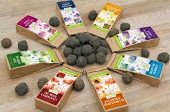 Samenbomben Set (8 Päckchen) | Blumensamenmischung Von FLORTUS 13 Samenbomben Set (8 Päckchen) | Blumensamenmischung Von FLORTUS -Compo Verkäufe 562498 Samenbomben Set 8 Paeckchen 2000 2367 3