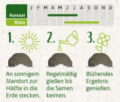 Samenbomben Set (8 Päckchen) | Blumensamenmischung Von FLORTUS 17 Samenbomben Set (8 Päckchen) | Blumensamenmischung Von FLORTUS -Compo Verkäufe 562498 Samenbomben Set 8 Paeckchen 2000 2367 4