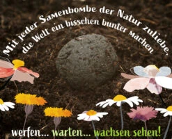 Samenbomben Set (8 Päckchen) | Blumensamenmischung Von FLORTUS 14 Samenbomben Set (8 Päckchen) | Blumensamenmischung Von FLORTUS -Compo Verkäufe 562498 Samenbomben Set 8 Paeckchen 2000 2367 7 1
