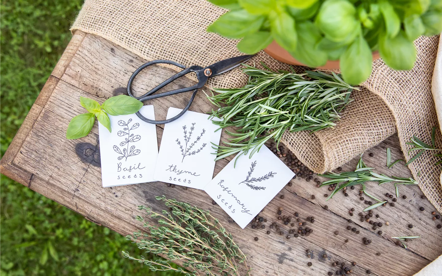 Titelseite -Compo Verkäufe Kraeutersamen und Kraeuter 1440x900 proportionalsmallest