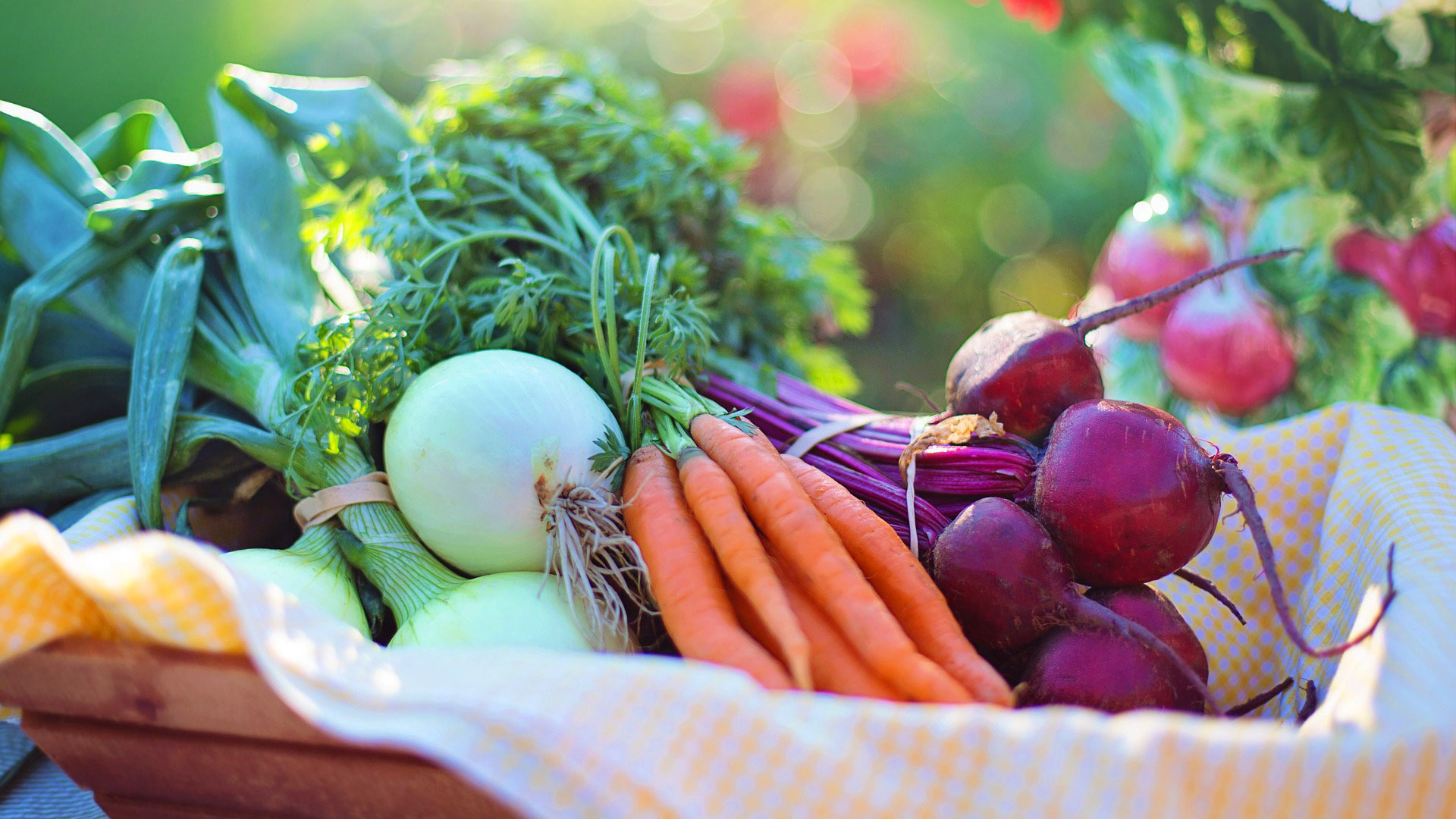 Titelseite -Compo Verkäufe samen